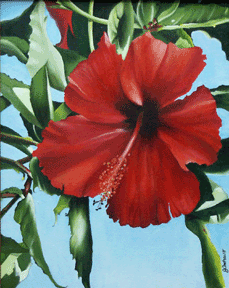calla lily  painting