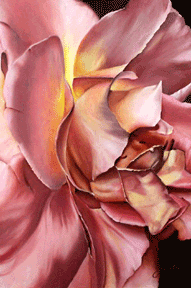 pink rose  painting